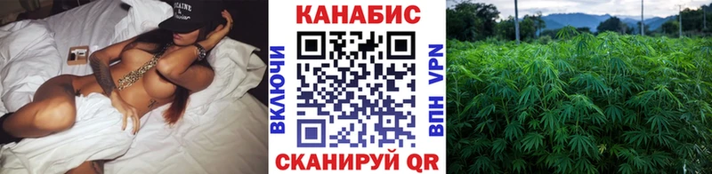 Где купить Электрогорск Галлюциногенные грибы  Alpha-PVP  Мефедрон  гидра tor  ГАШ 