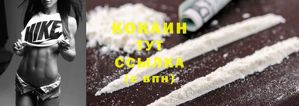 сатива Карталы