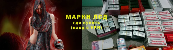 сатива Карталы