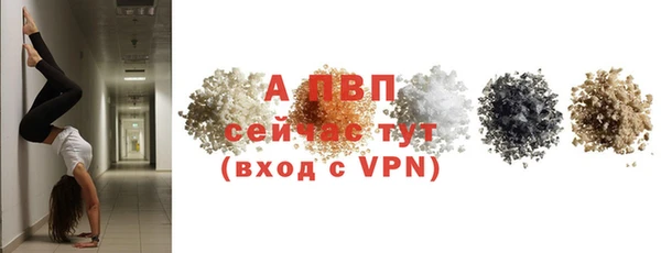 сатива Карталы