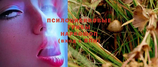 а пвп мука Карпинск
