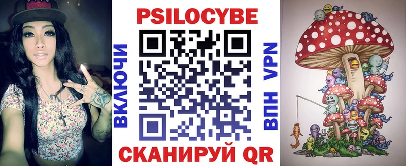 где найти наркотики  Электрогорск  Псилоцибиновые грибы GOLDEN TEACHER 
